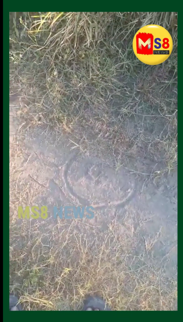 రామగుండం పరిసరాల్లో పులి కలకలం మల్యాలపల్లి గ్రామస్తులకు అటవీశాఖ హెచ్చరిక….